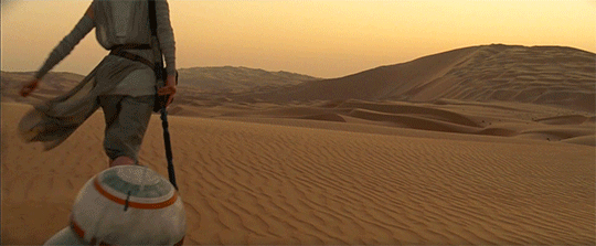 Your First Time to Petra (As Told by GIFs) Engaging Cultures