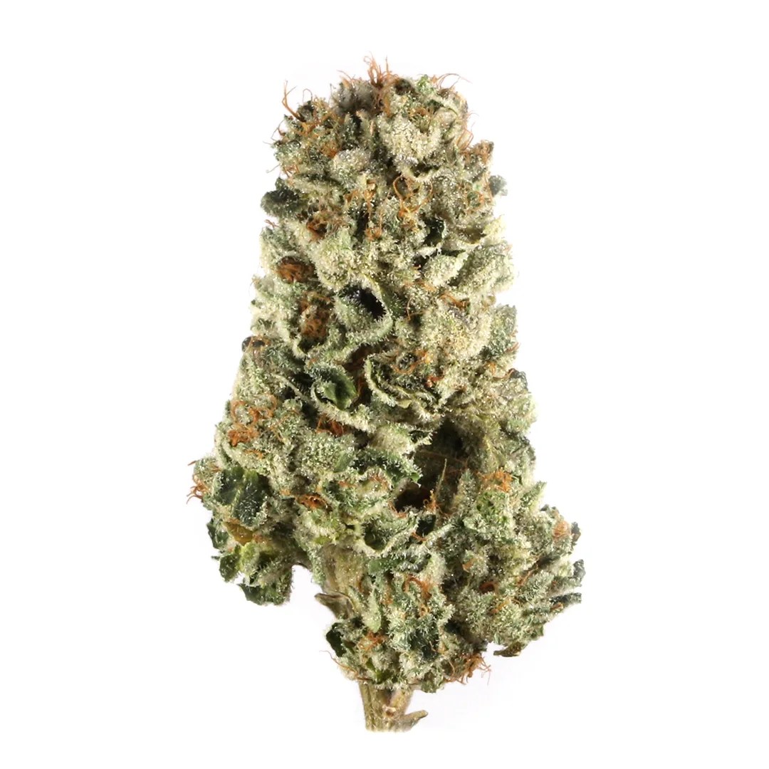 Blueberry Hashplant Strain