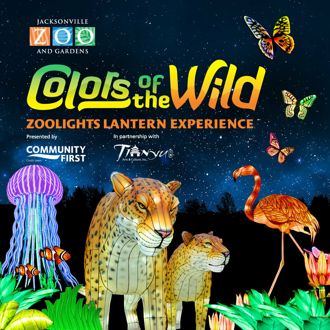 Colors of the Wild a Zoolights Lantern Experience Jacksonville Zoo and Gardens