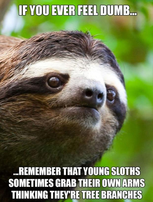 Dumb Sloth Funny Faxo