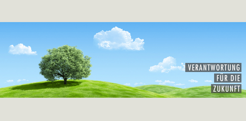 Firmenprofil Malerwerkstatten Mensinger Gmbh In Frankfurt Am Main Yourfirm De