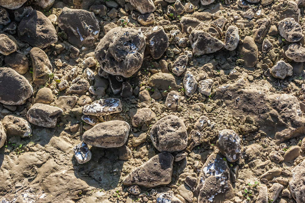 Fill Material Quarry Supplies Boodle's Concrete