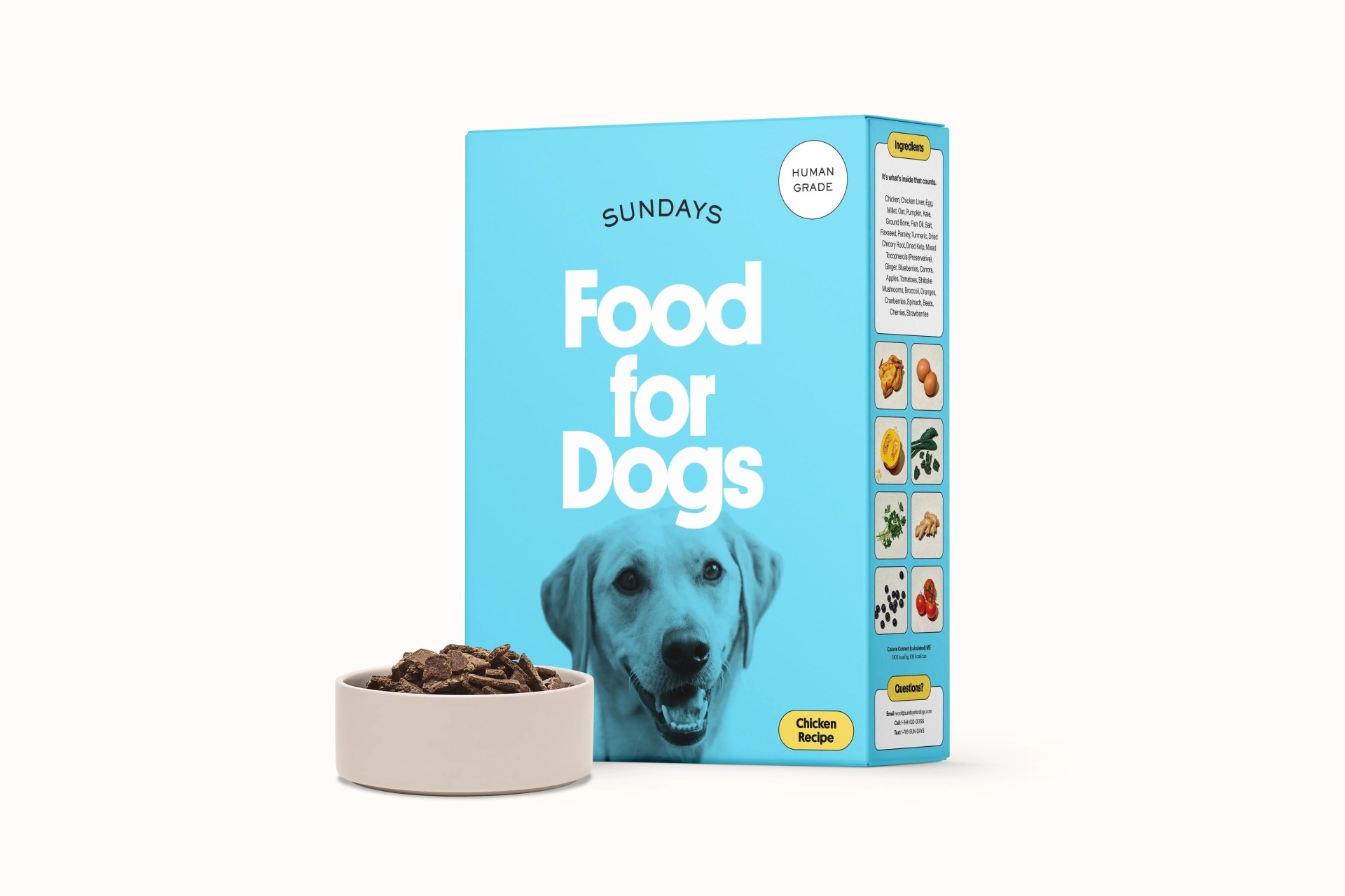 Box Dog Food Hot Sale