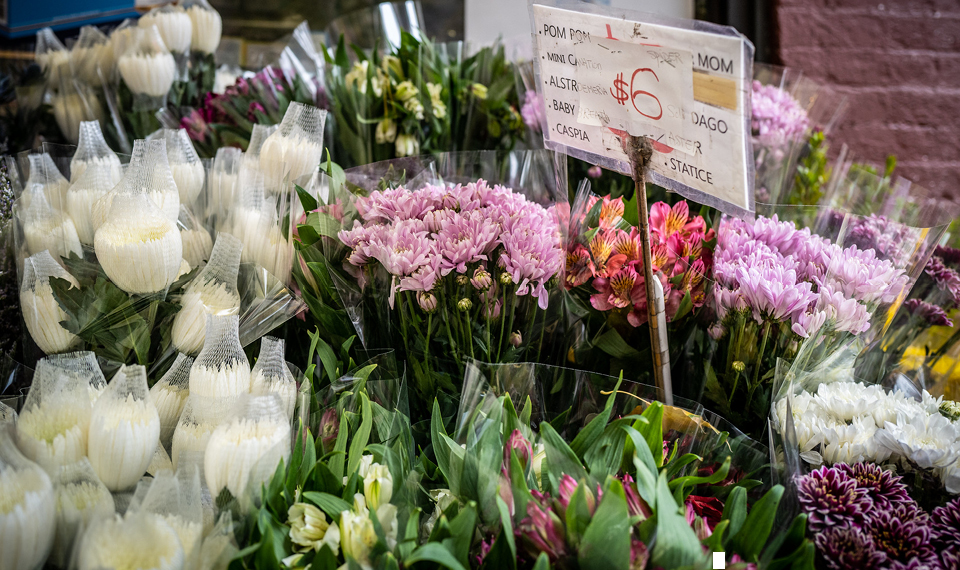 Best Bodegas Downtown New York NYC Culture Guide