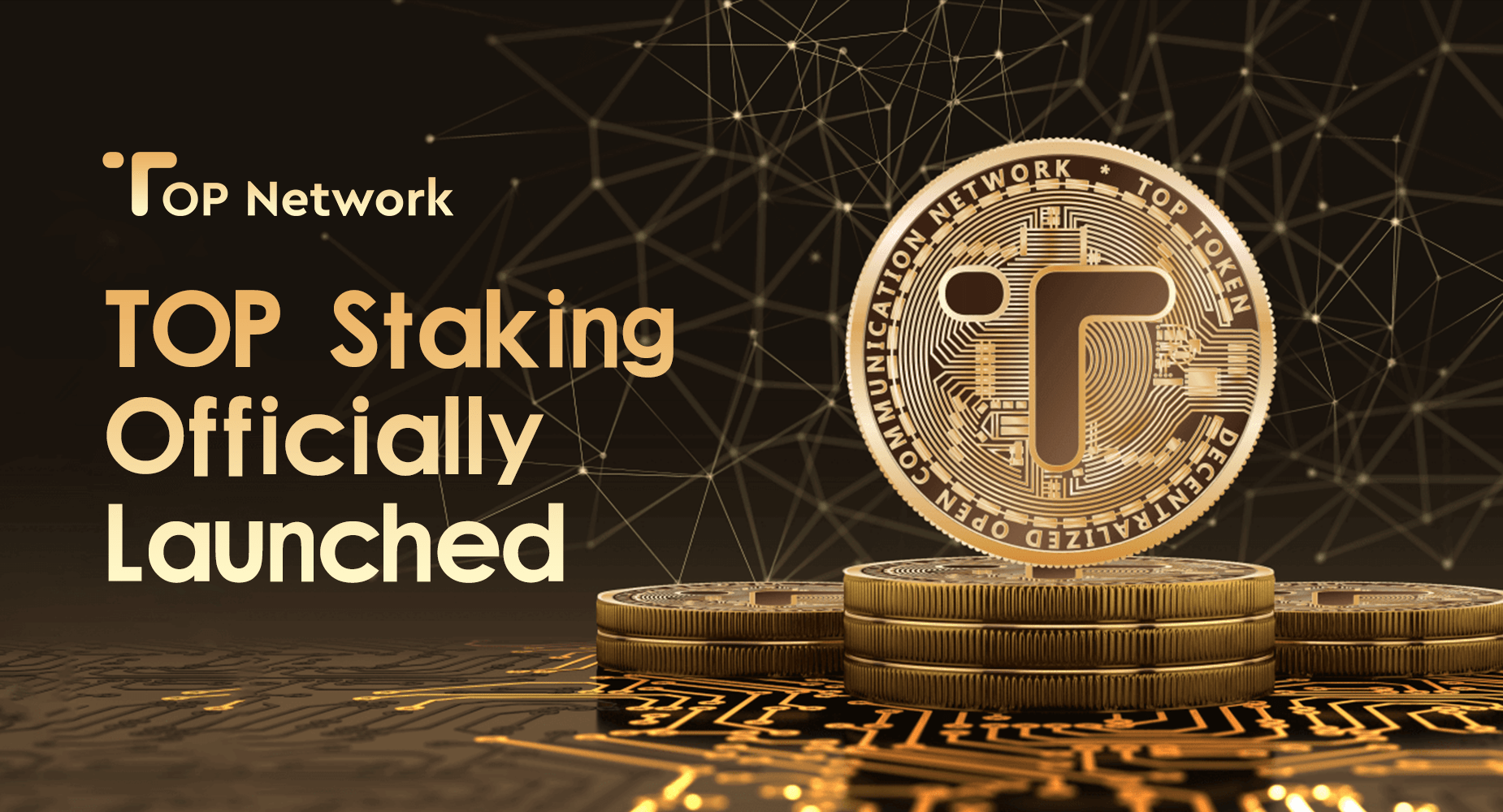 TOP Network A highperformance public blockchain