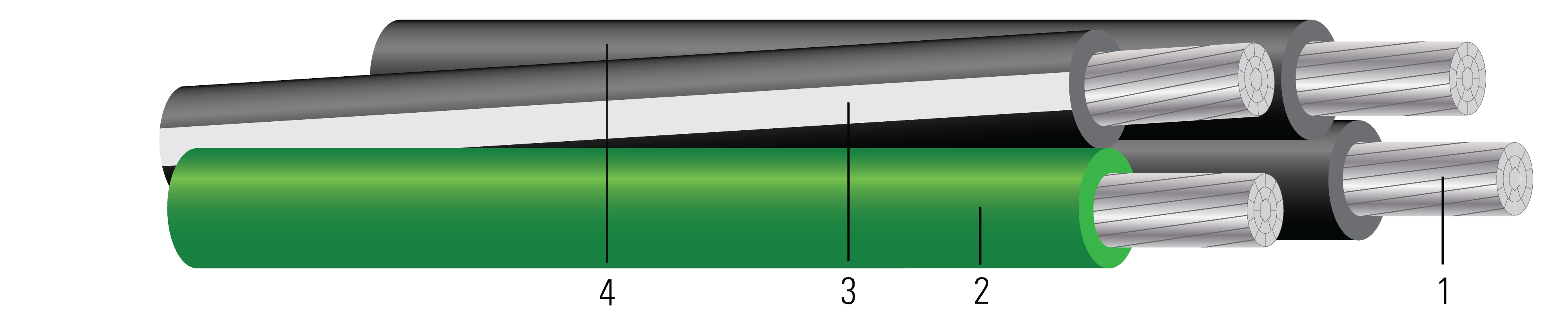 Earthed Concentric Wiring