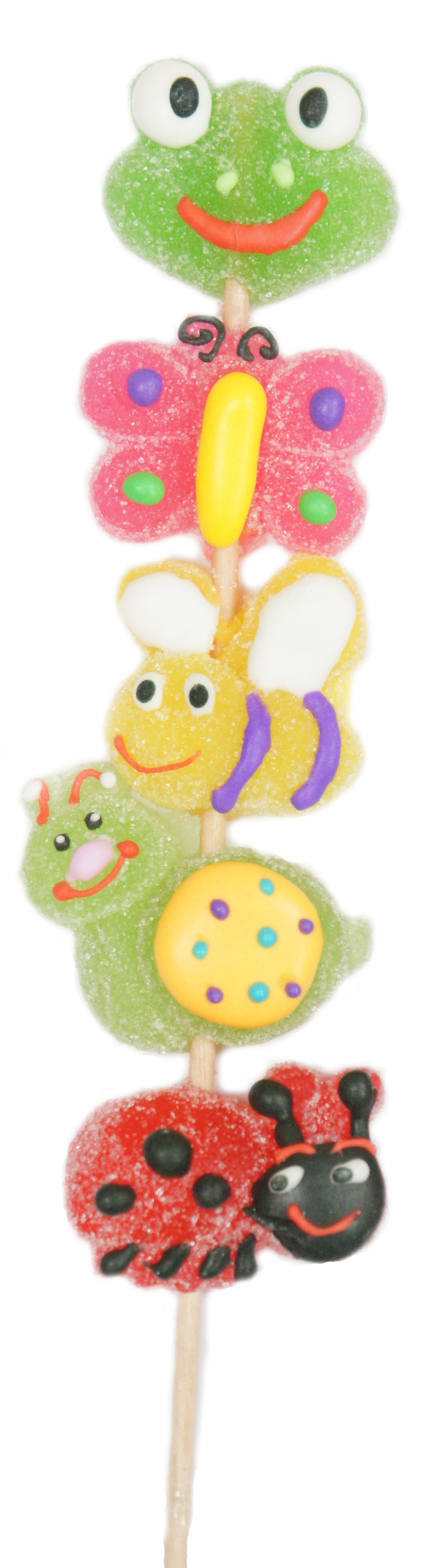 Buy Allison's Garden Jelly Candy Kabob at Well.ca Free Shipping 35