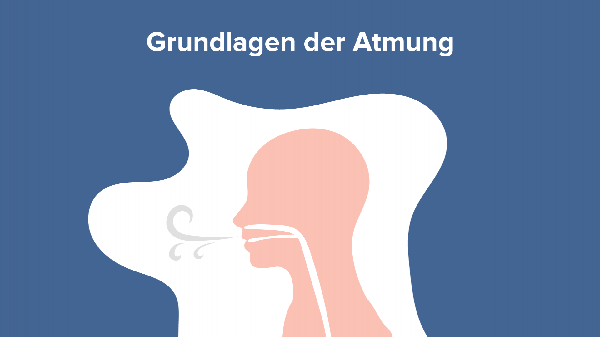 Morphologische Grundlagen Atmung Physiologie Vorlesung