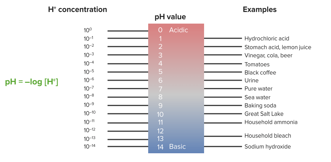 Chemistry for Physicians Introduction Online Medical Library