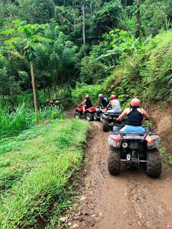 ATV Bali Dengan Waterfall Dan Terowongan Mulai Rp 450.000