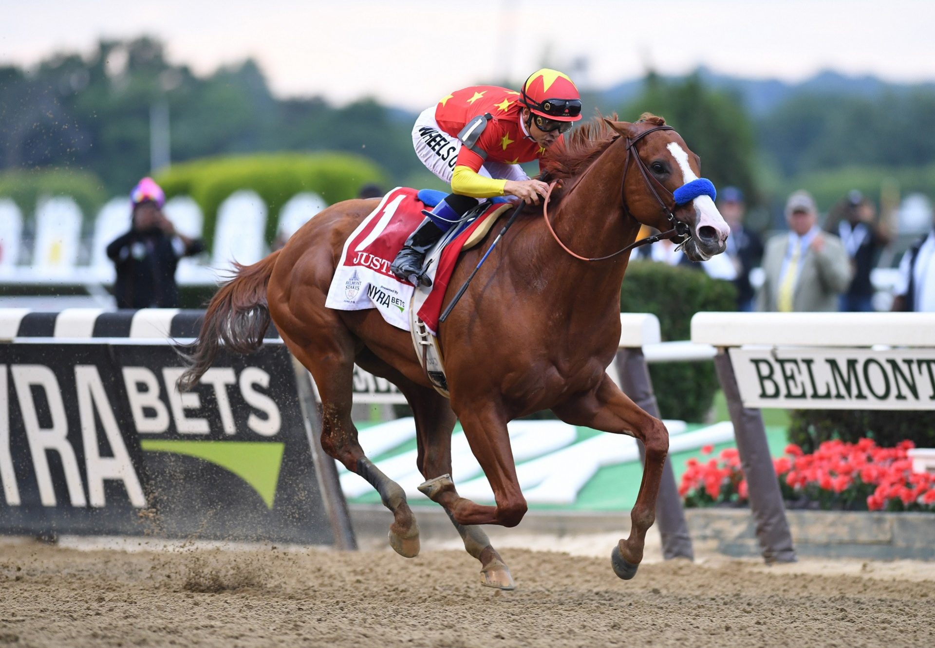 Justify Crowned 2018 US Horse of the Year