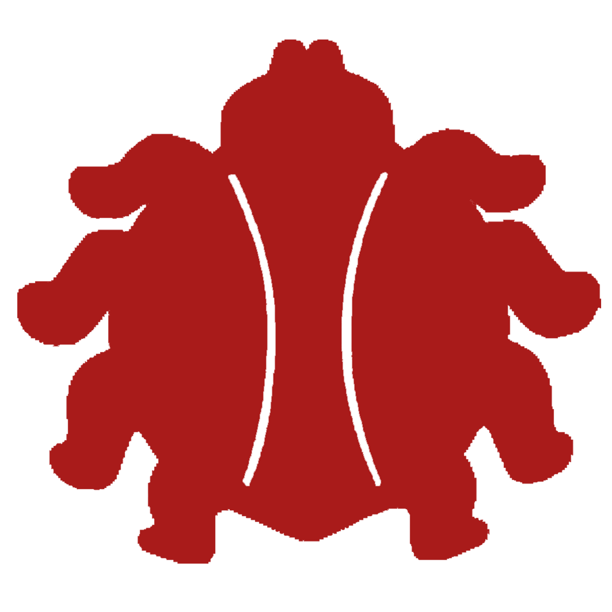 Tyson Brown 20222023 Fordyce Redbugs Boys Basketball Fordyce, AR