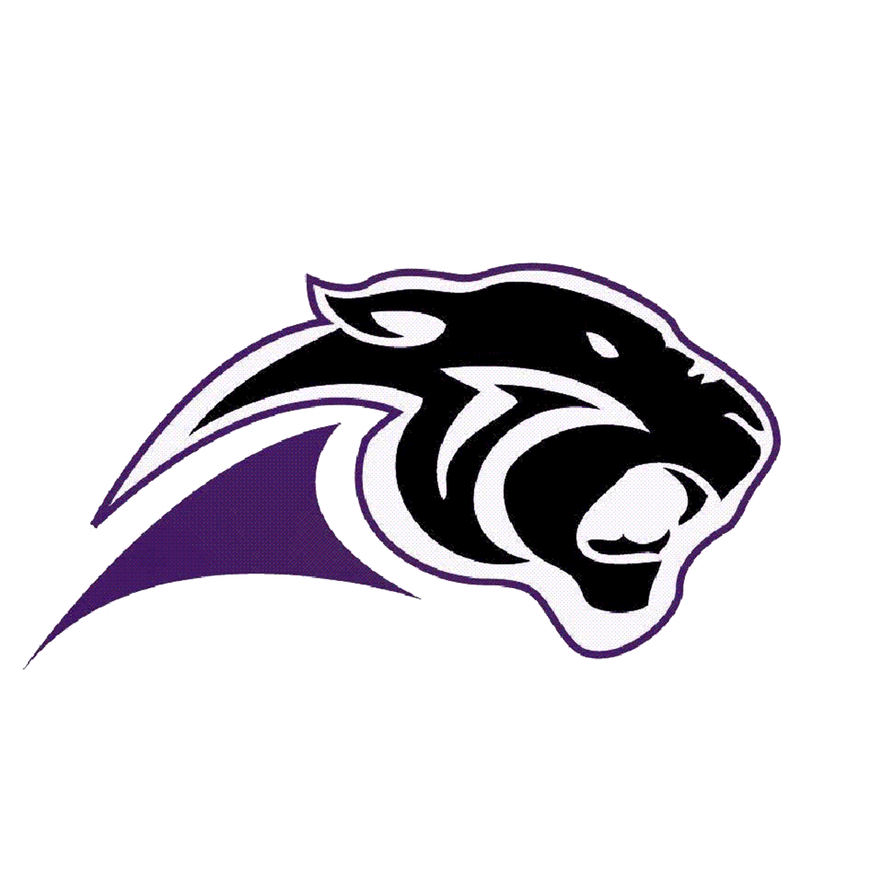 Fouke Panthers Softball Fouke, AR