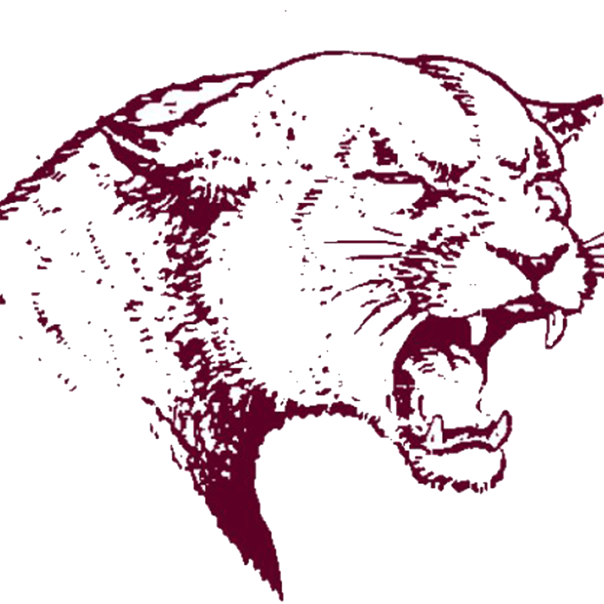 Norfork Panthers Baseball Norfork, AR