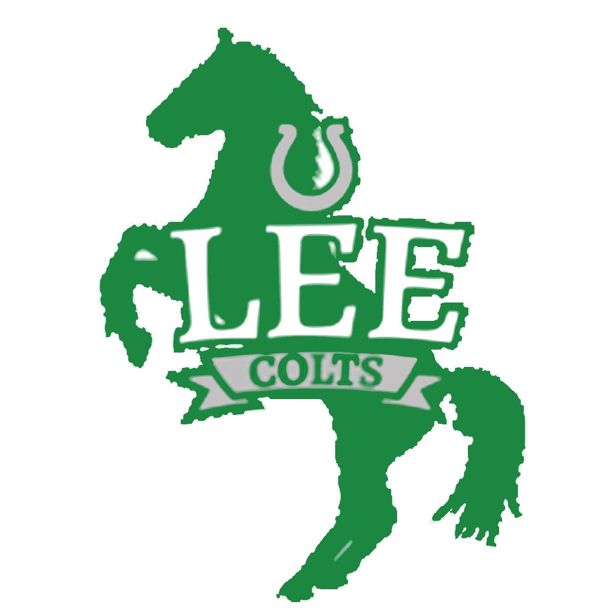 Strayhorn vs Lee Academy Football Sep 4, 2020 SBLive