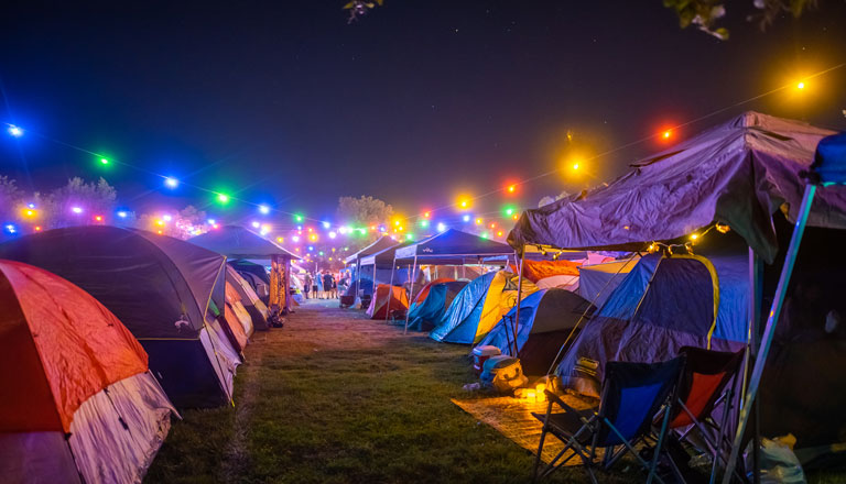 Tent Camping Nocturnal Wonderland 2021