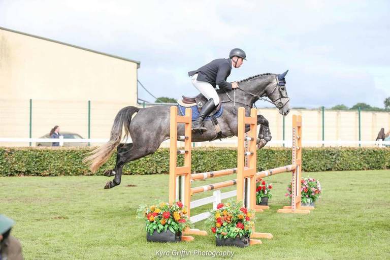 Horse for Sale 4yo ish mare