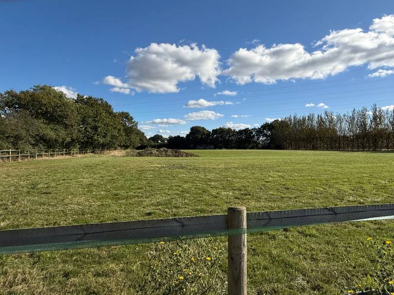 Property for Sale Wickham st Paul