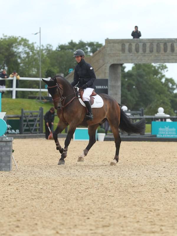 Horse for Sale Produced By Top Lady Rider