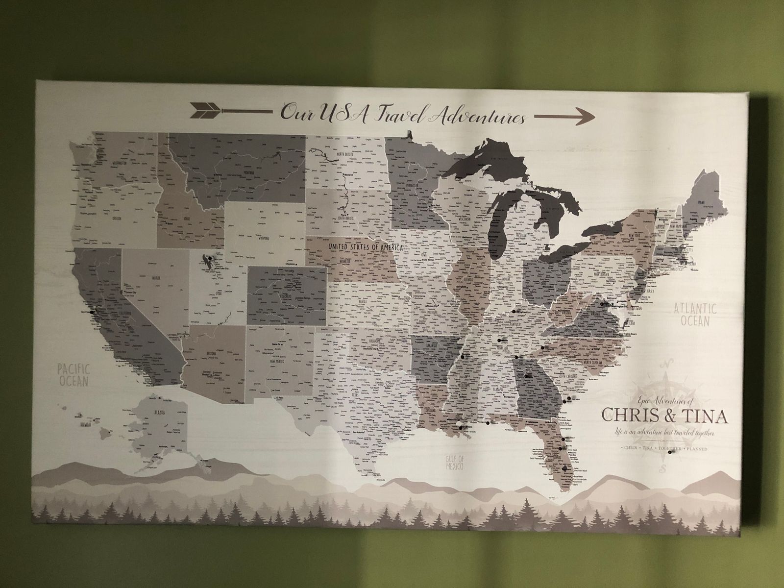 Farmhouse Push Pin USA Map Single Panel, Custom Holy Cow Canvas