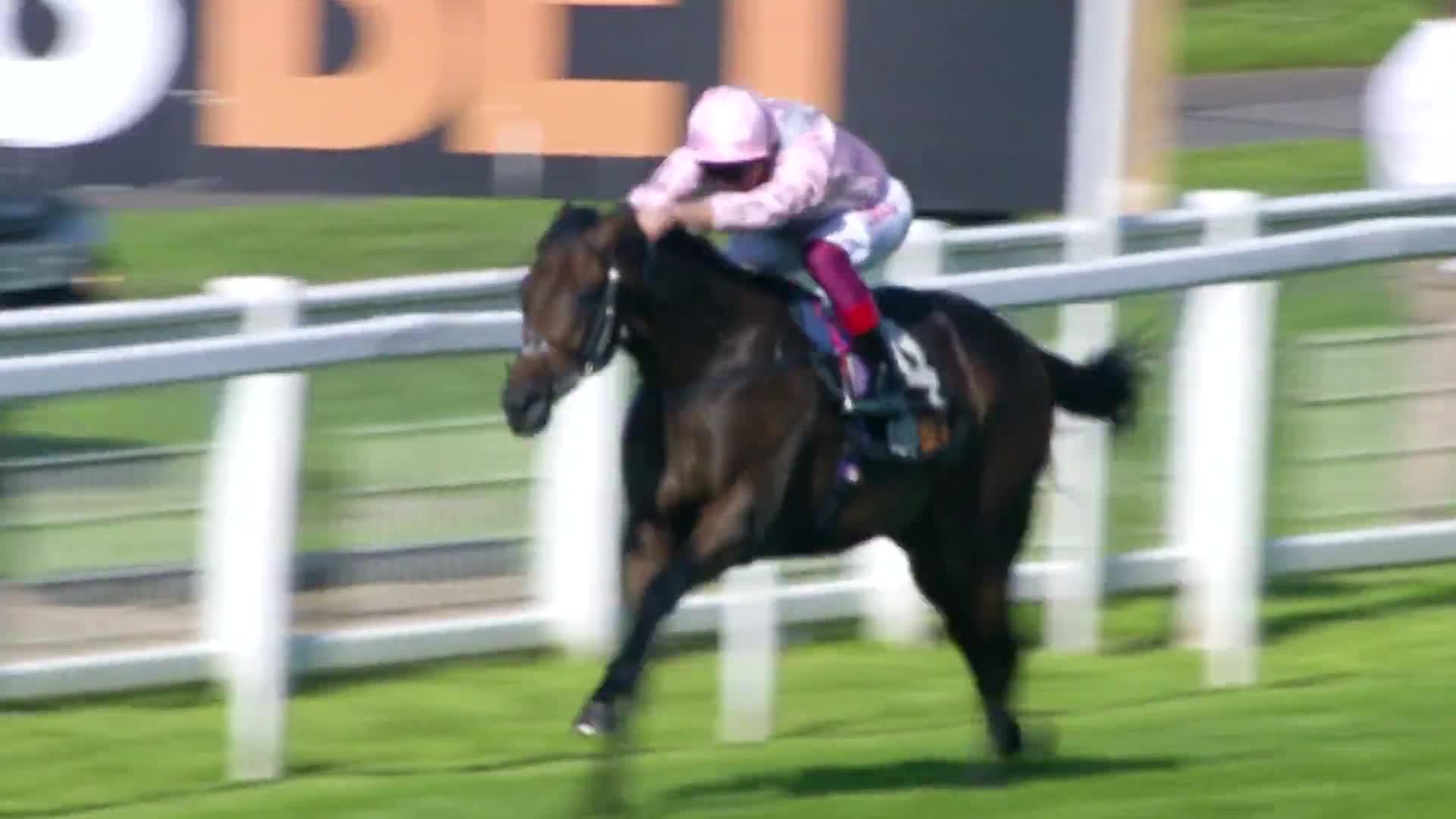 John Gosden says "unbelievable" Pinatubo will have rivals running scared