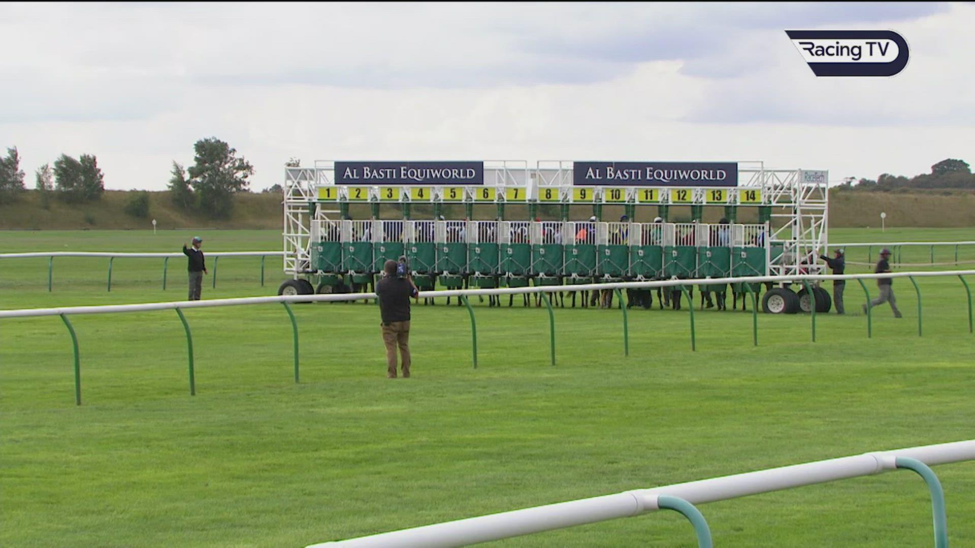 Juvenile Watch Newmarket review plus horses to follow