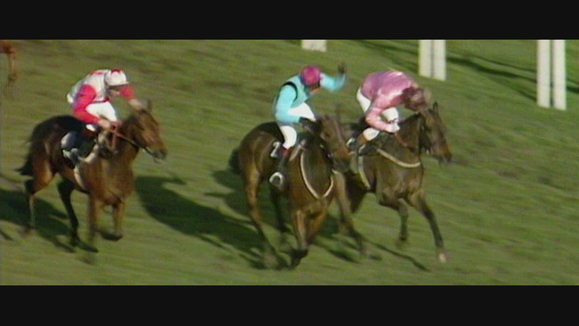 Paddy Power Stayers' Hurdle runnerbyrunner guide and tip