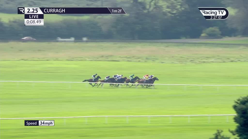 Trevaunance (Ire) Race Record, Statistics & Wins Racing TV