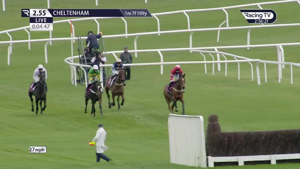 Jonbon (Fr) Race Record, Statistics & Wins Racing TV