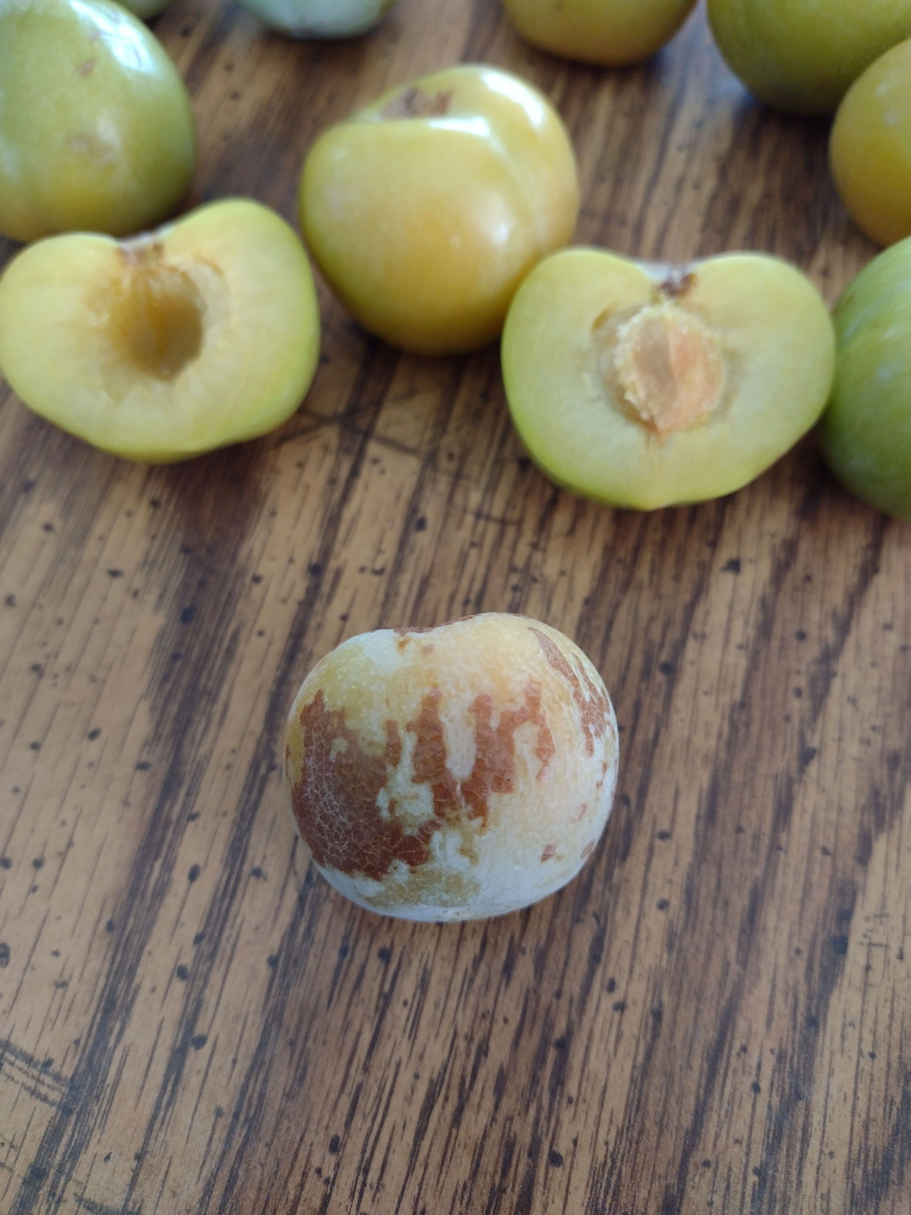 What variety is this Pluot? General Fruit Growing Growing Fruit