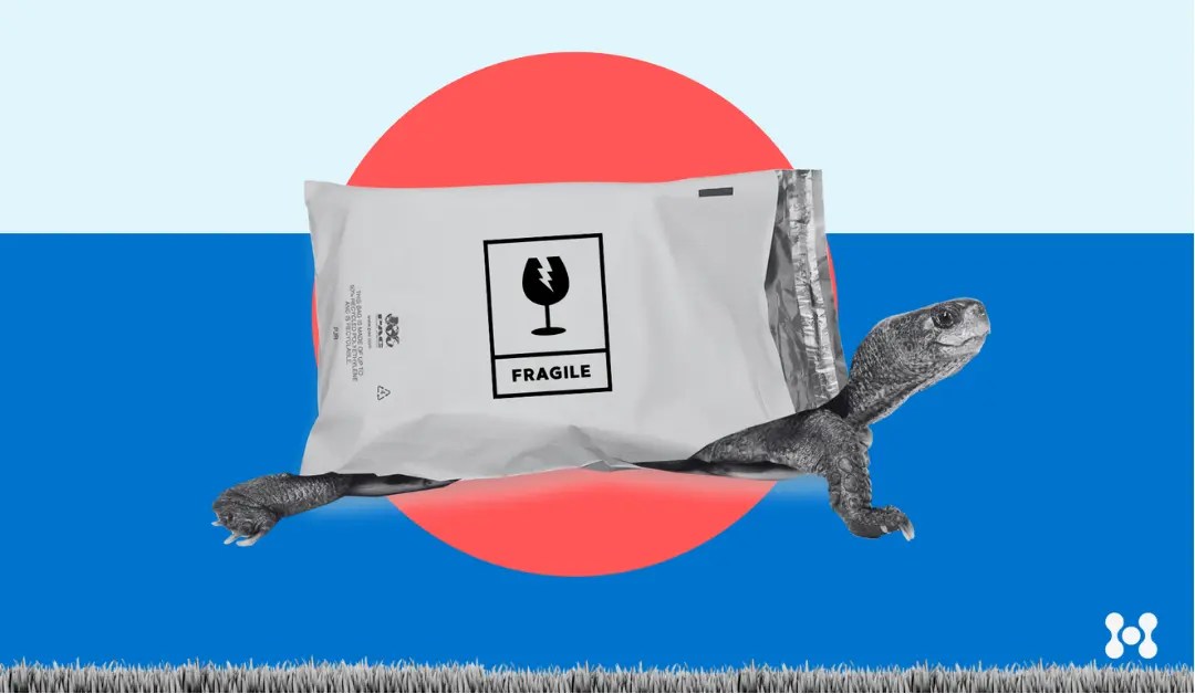 The Ultimate Guide To Using A Polymailer Choosing And Using Ehub