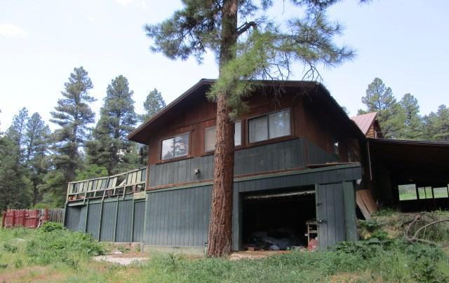 331 Evergreen Dr, Pagosa Springs, CO 81147