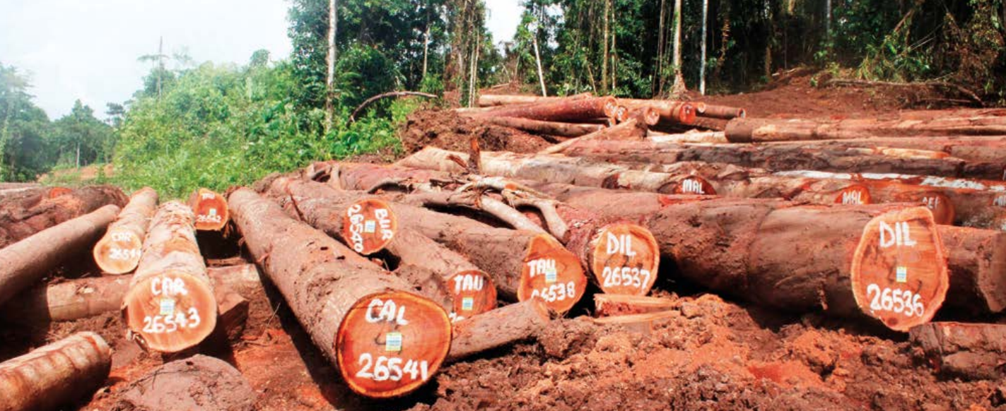 Logging company to pay damages of K353,350 PNGi Central