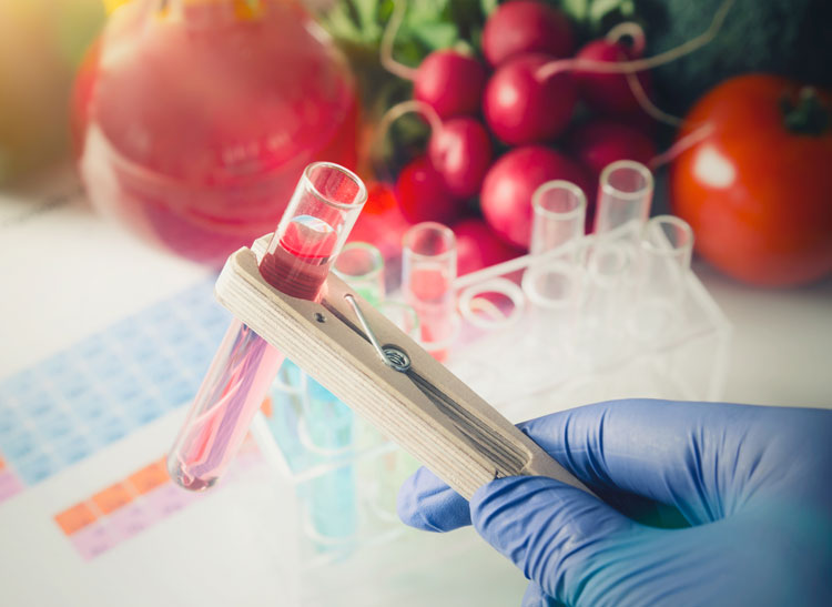 Food safety validation process control measures for making safe food