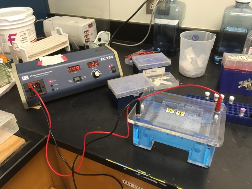 Connecting PLTW Skills to the Real World PLTW