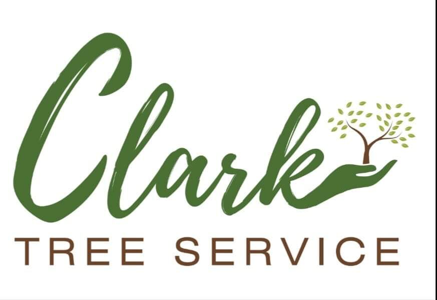 Contact Us Clark Tree Service