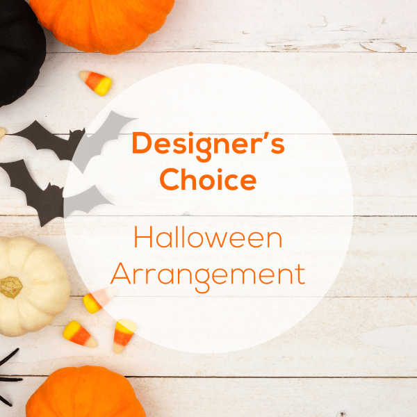 Designer's Choice Halloween Arrangement Sparks Florist® Reno