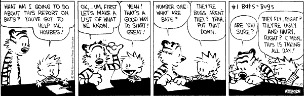 Calvin The Unexpected Gifted Kid
