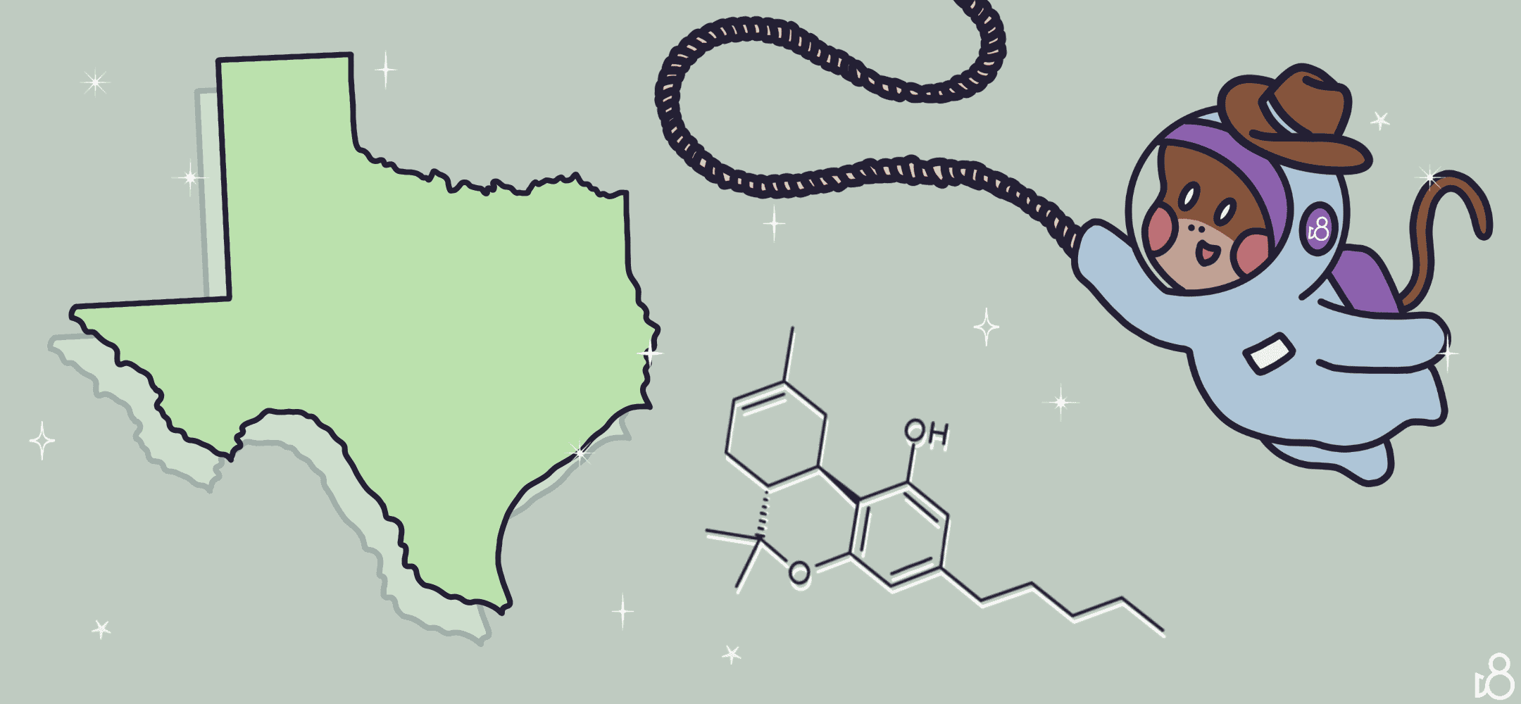 Is Delta 8 Legal in Texas? Expert Clarification on Regulations D8