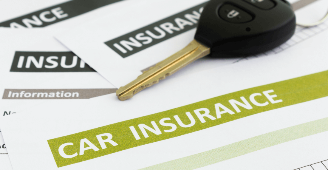 The Zebra Car Insurance in Black and White
