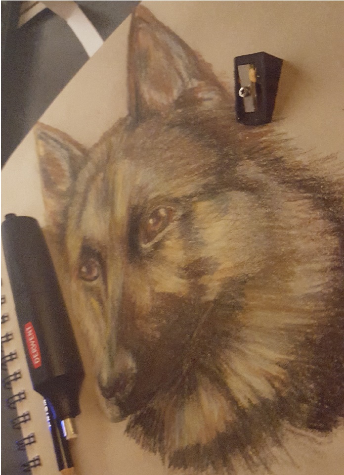 Pet Animal Headshot Artists&Clients