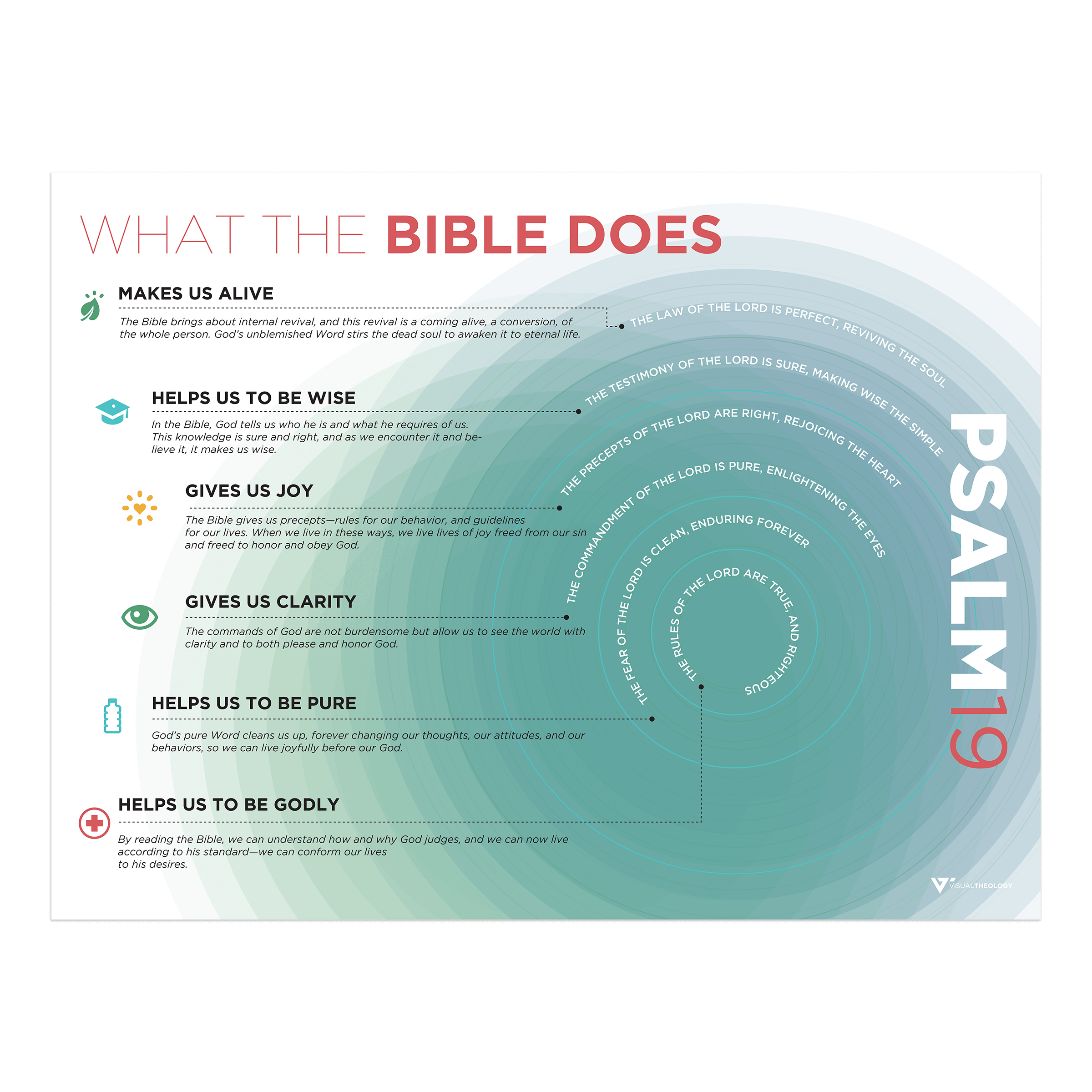 The Bible Does Visual Theology