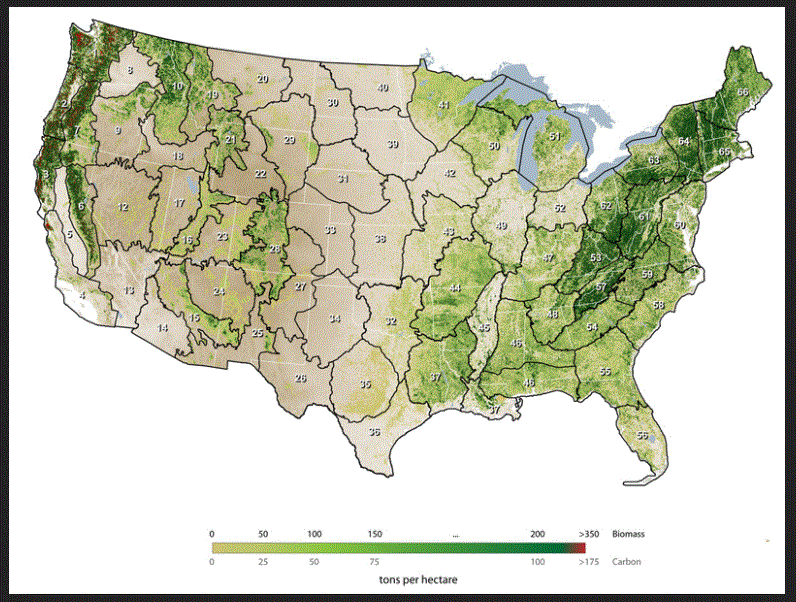 Aboveground Forest Biomass Map Of Usa NACP Aboveground Biomass and Carbon Baseline Data, V.2 (NBCD 2000), U.S