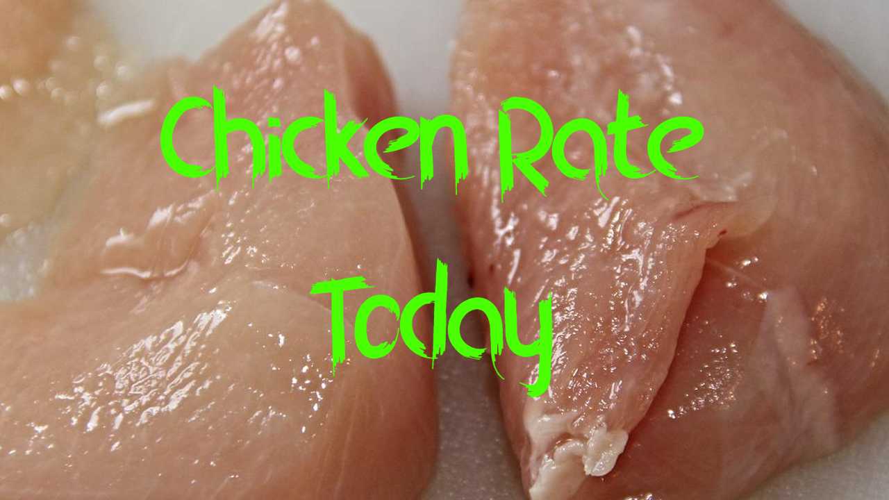 Today's Chicken Rate in Pakistan September 26, 2024