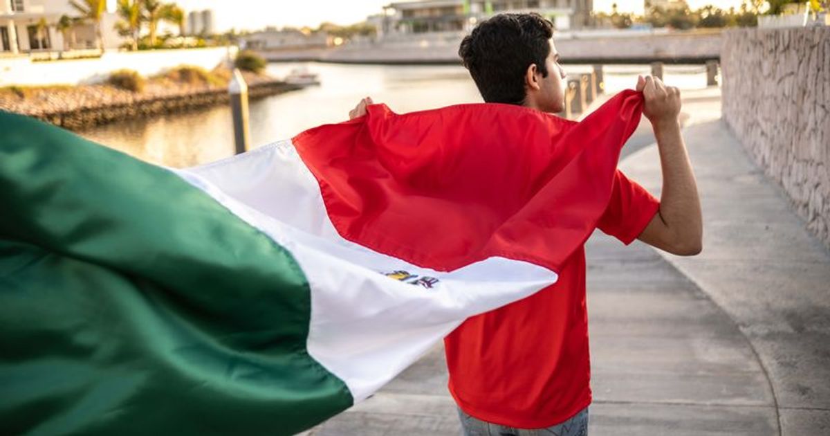 What is 'No Mercy in Mexico' trend? Gory videos shared on social media(026)