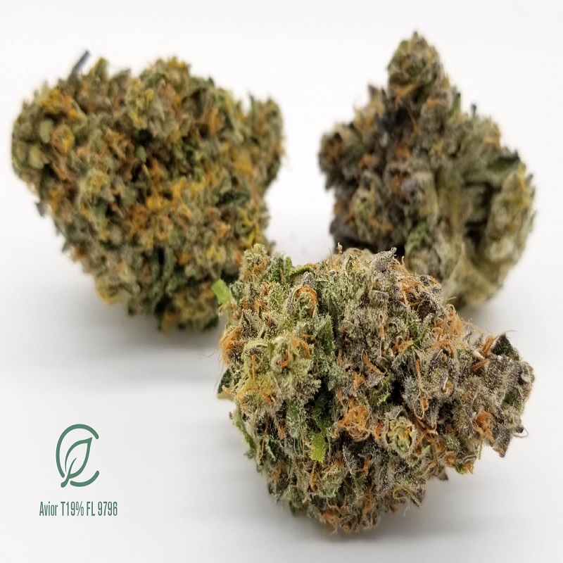 Curaleaf Avior Dabbin Dad Connecticut Medical Marijuana Blog Resource