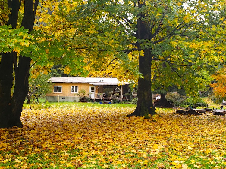 Dabob Bay Cottage, Quilcene, Washington