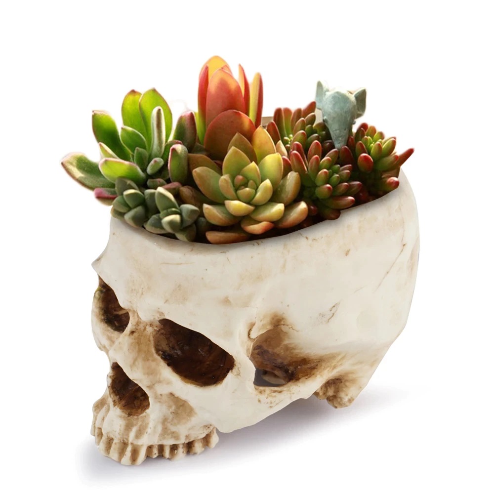 Totenkopf Blumentopf “Skull” dabruchi!