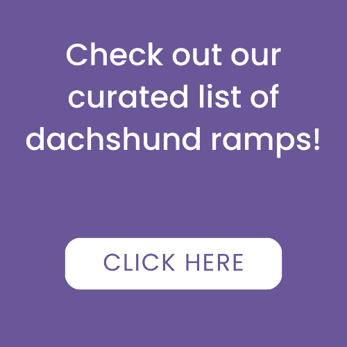The Best Ramps For Dachshunds dachshundcentral