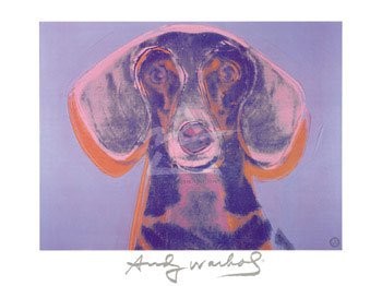 Prominente Dackel Dackelblick